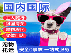 丽江三义机场货运国际宠物托运 【国
